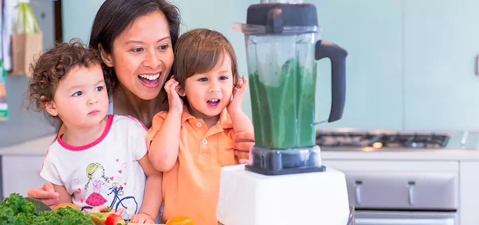 Juicer and Mixer Blender Repair in Sanford
