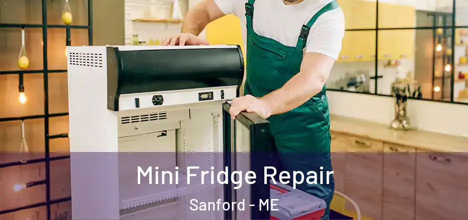 Mini Fridge Repair Sanford - ME